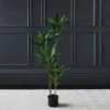 Scottish Everlastings Real Touch Green Dracaena 120cm 1 Scottish Everlastings Real Touch Green Dracaena 120cm -Cool Decoration 30758830