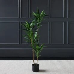 Scottish Everlastings Real Touch Green Dracaena 120cm