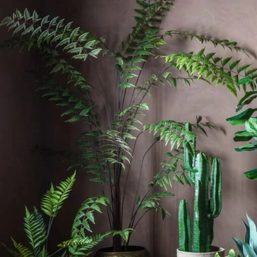 Cedar & Sage Beau Butterfly Fern -Cool Decoration 30763045