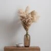 Dunelm Dried Pampas Natural Grass Bundle 75cm 1 Dunelm Dried Pampas Natural Grass Bundle 75cm -Cool Decoration 30763276