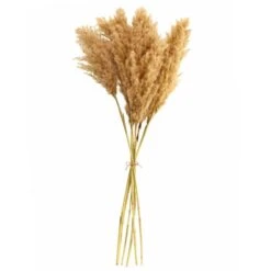 Dunelm Dried Pampas Natural Grass Bundle 75cm -Cool Decoration 30763276 alt04