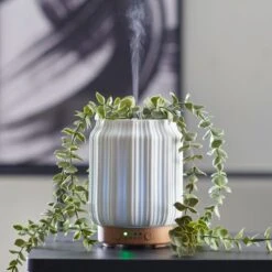 Dunelm Trailing Eucalyptus Electronic Diffuser