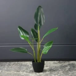 Scottish Everlastings Real Touch Bird Of Paradise 78cm