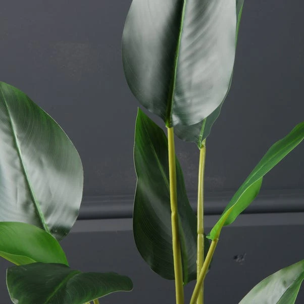 Scottish Everlastings Real Touch Bird Of Paradise 78cm 4 Scottish Everlastings Real Touch Bird Of Paradise 78cm - Image 2