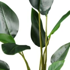 Scottish Everlastings Real Touch Bird Of Paradise 78cm 8 Scottish Everlastings Real Touch Bird Of Paradise 78cm -Cool Decoration 30777190 alt02