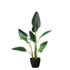 Scottish Everlastings Real Touch Bird Of Paradise 78cm 9 Scottish Everlastings Real Touch Bird Of Paradise 78cm -Cool Decoration 30777190 alt03