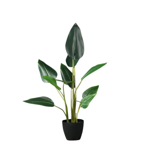 Scottish Everlastings Real Touch Bird Of Paradise 78cm 6 Scottish Everlastings Real Touch Bird Of Paradise 78cm - Image 4