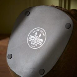 Natural History Museum Lion Glasses Holder -Cool Decoration 30782232 alt05