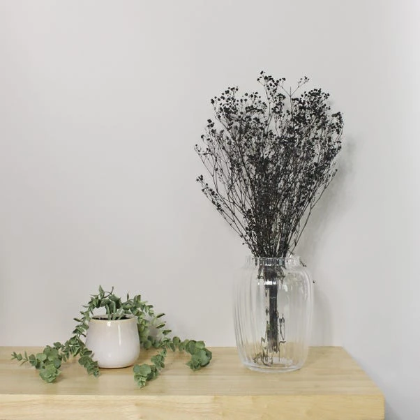 Dunelm Preserved Gypsophila Black Bundle 40g 3 Dunelm Preserved Gypsophila Black Bundle 40g