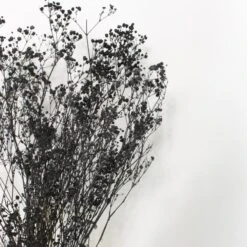Dunelm Preserved Gypsophila Black Bundle 40g 6 Dunelm Preserved Gypsophila Black Bundle 40g -Cool Decoration 30786730 alt01