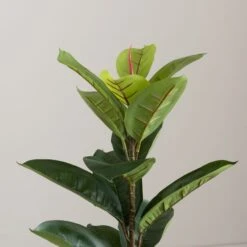 Dunelm Artificial Rubber Tree 90cm 7 Dunelm Artificial Rubber Tree 90cm -Cool Decoration 30794480 alt01