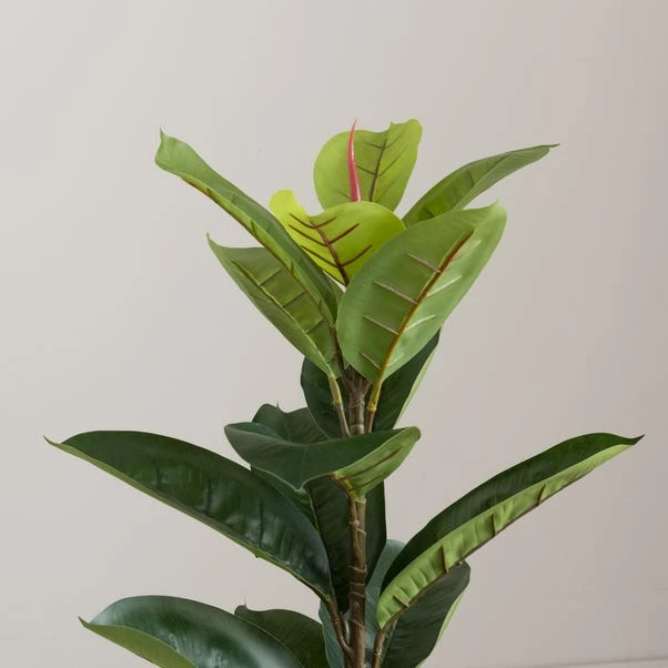 Dunelm Artificial Rubber Tree 90cm 4 Dunelm Artificial Rubber Tree 90cm - Image 2