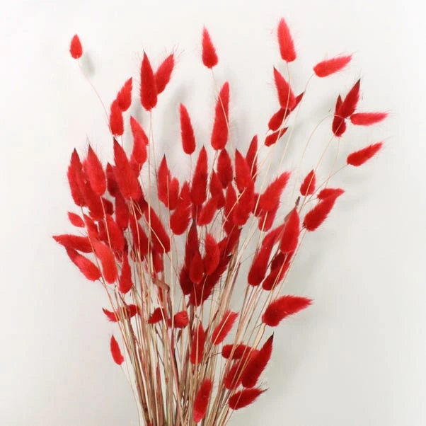 Dunelm Lagurus Russet Bundle 30g 4 Dunelm Lagurus Russet Bundle 30g - Image 2