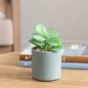 Dunelm Jade Succulent In Pacific Pot -Cool Decoration 30796538