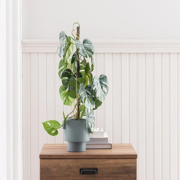 Dunelm Artificial Climbing Variegated Monstera In Pacific Pot 3 Dunelm Artificial Climbing Variegated Monstera In Pacific Pot