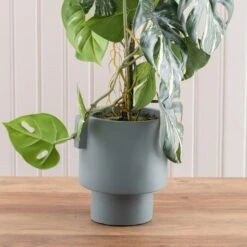 Dunelm Artificial Climbing Variegated Monstera In Pacific Pot 9 Dunelm Artificial Climbing Variegated Monstera In Pacific Pot -Cool Decoration 30796692 alt02