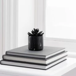 Dunelm Succulent In Black Marble Pot