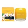 Stoneglow Lemon Tea & Grapefruit Energise Scented Candle