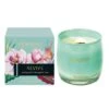 Stoneglow Petitgrain & Bergamot Zest Revive Scented Candle 2 Stoneglow Petitgrain & Bergamot Zest Revive Scented Candle -Cool Decoration 30796856