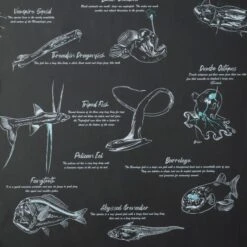 Natural History Museum Sea Creatures Wallpaper 9 Natural History Museum Sea Creatures Wallpaper -Cool Decoration 30796978 alt03