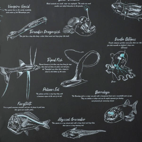 Natural History Museum Sea Creatures Wallpaper 6 Natural History Museum Sea Creatures Wallpaper - Image 4