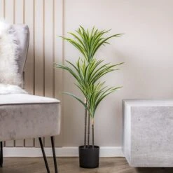 Scottish Everlastings 90cm Real Touch Variegated Yucca