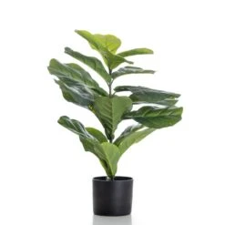 Scottish Everlastings 70cm Real Touch Fiddleleaf Fig -Cool Decoration 30797246 alt02