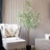 Scottish Everlastings 175cm Curved Leaf Eucalyptus Tree -Cool Decoration 30797247