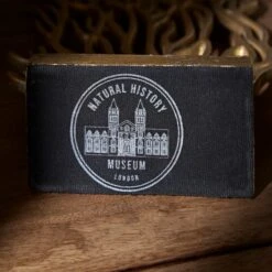 Dunelm Recycled Aluminium Flat Coral Reef Ornament -Cool Decoration 30797978 alt03