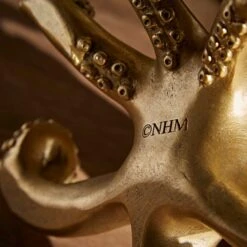 Natural History Museum Octopus Glasses Holder -Cool Decoration 30800584 alt03