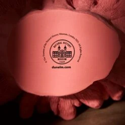 Natural History Museum Weighted Coral Reef Ornament -Cool Decoration 30800589 alt03