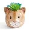 Dunelm Ginger Tabby Cat Plant Pot -Cool Decoration 30808749