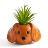 Dunelm Cocker Spaniel Dog Plant Pot -Cool Decoration 30808781
