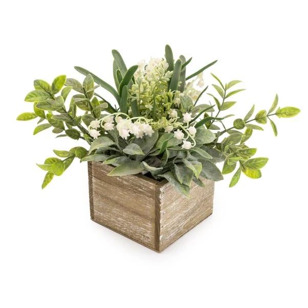 Dunelm Lily And Herbs In Wooden Box 5 Dunelm Lily And Herbs In Wooden Box - Image 3