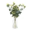 Dunelm 40cm Eucalyptus In Glass Vase 1 Dunelm 40cm Eucalyptus In Glass Vase -Cool Decoration 30823510
